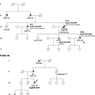 Pedigrees Of Fam And F Filled Symbol Indicated Affected For