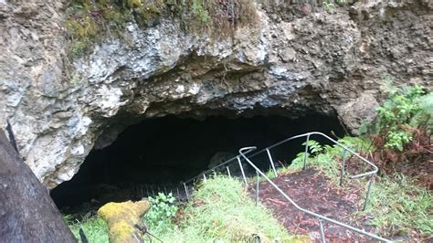 Giants Cave - Caves Rd, Boranup WA 6286, Australia