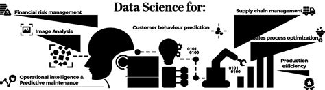 Data Science Services Empower Your Insights Polestar Solutions