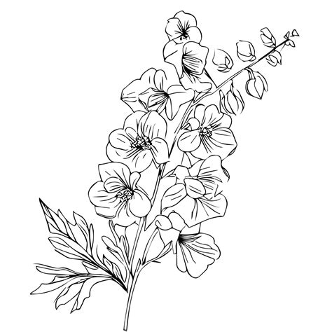 Premium Vector Black July Birth Flower Larkspur Tattoo Scientific