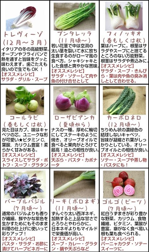 山形の果物・お酒～まるごと山形山形県かほくイタリア野菜ファミリーセット 6〜8種類入り 送料無料 野菜詰め合わせ Seniorwings