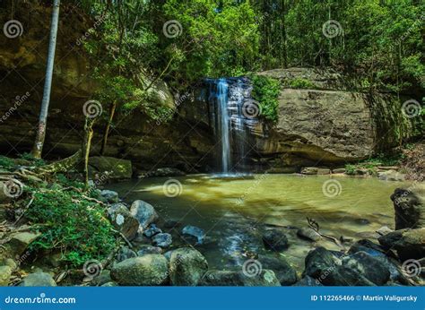 Serenity Falls And Swimming Hole In Buderim Forest Park Sunshine Coast