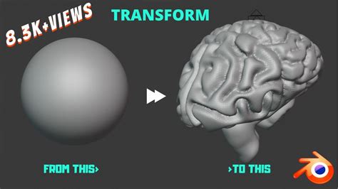 SCULPTING HUMAN BRAIN USING BLENDER 2 8 TheIndianStopwatch YouTube