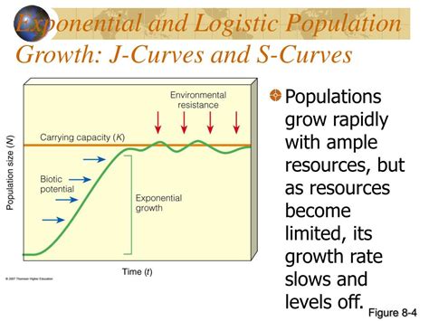 Ppt Human Population Dynamics Powerpoint Presentation Free Download Id6456857