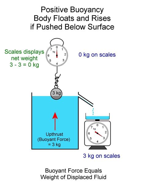 Archimedes Principle And Understanding Buoyant Force Owlcation