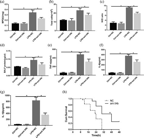 Mir B P Inhibition Significantly Decreases Inflammatory Mediator