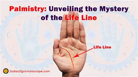 Palmistry: Unveiling the Mystery of the Life Line in Your Palm ...