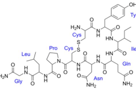 Muscles Love Oxytocin So Called Hug Hormone Important In Muscle