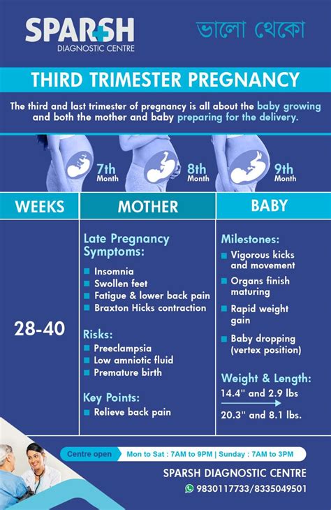 Third Trimester - Sparsh Diagnostic Center