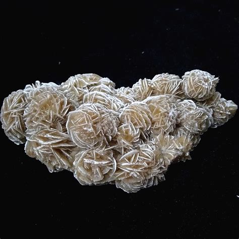 beneficios increibles de la rosa del desierto tarot gratisonline