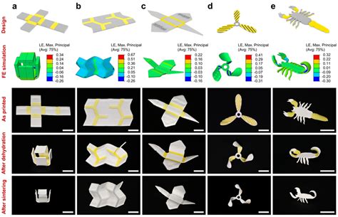 南方科技大学葛锜、西安交通大学原超团队《nature Communications》：陶瓷4d打印研究最新进展 行业资讯 摩方精密bmf