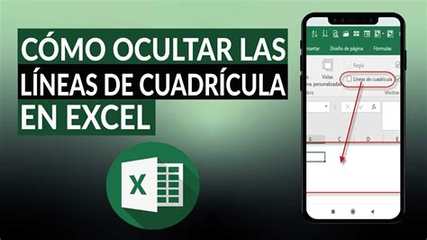 Cómo ocultar o quitar las líneas de cuadrícula en EXCEL Fácil y