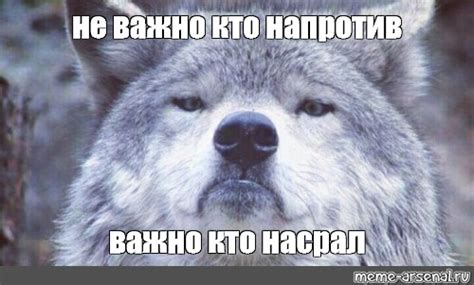 Мем: "не важно кто напротив важно кто насрал" - Все шаблоны - Meme ...