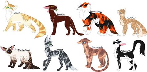 Every Skyclan Medicine Cat Ever By Draikinator Warrior Cats Art Warrior Cats Warrior Cat