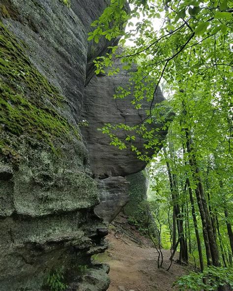 Allegheny National Forest | Endless Mountains Experience