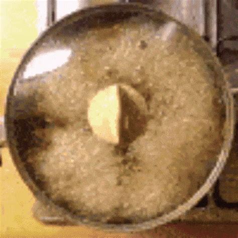 Should I pick these now? - First time success (brf tek) - Mushroom ... 