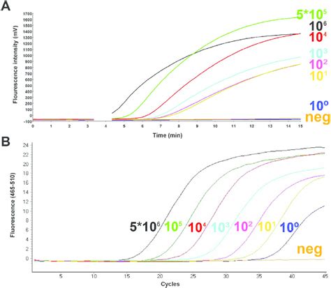 Amplification Curves In MAP RPA A And MAP Real Time PCR B Assays