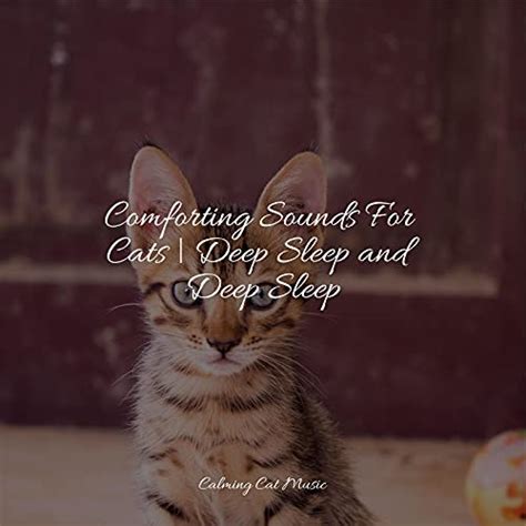 Play Comforting Sounds For Cats | Deep Sleep and Deep Sleep by Music ...