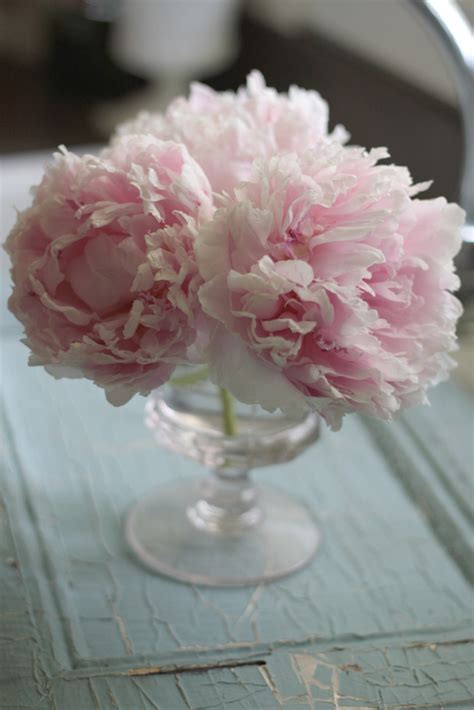 Peony Flower Bouquet – Wenderly