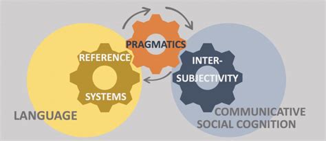 Diagram Of The Positive Feedback Loop Hypothesis Download Scientific Diagram