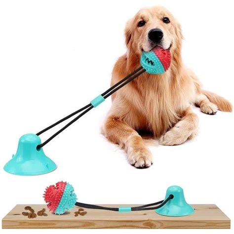 Jouets à Mâcher de Balle de Jouet de Chien avec Ventouse Jeu de Chien