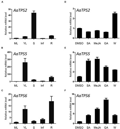 Frontiers Isolation And Characterization Of