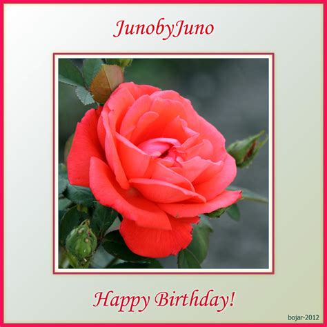 Happy Birthday Juno By Bojar On Deviantart