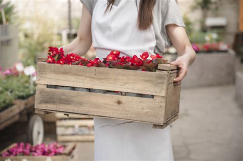 Cele Mai Frumoase Plante Pentru Balcon Si Terasa Infocasa