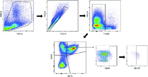 Sample Flow Cytometry Analysis Total Mononuclear Cells Were Gated On A