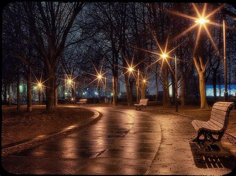 Rainy Evening Park Bench Benches Street Lights Bench Lens Flare