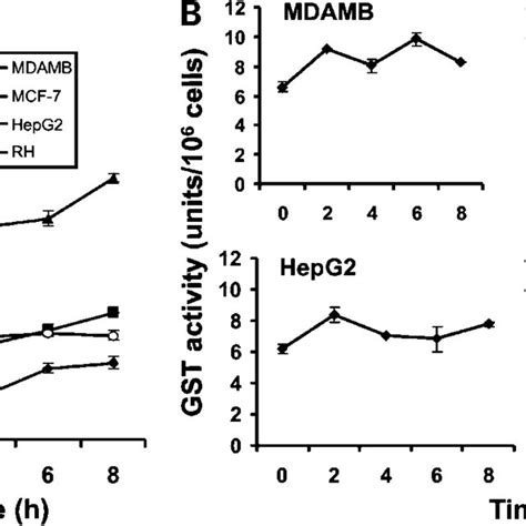 A GSH Levels In Different Tumor Cell Lines And Normal Hepatocytes At