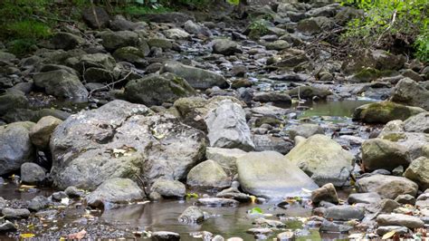 Shenandoah National Park Rivers Streams Closed To Fishing Due To Low