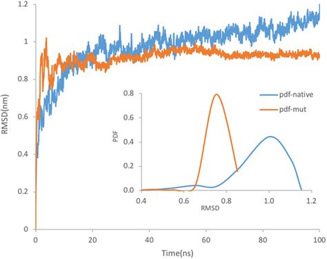 Backbone Root Mean Square Deviation Rmsd Of Native And Mutated Myelin Download Scientific