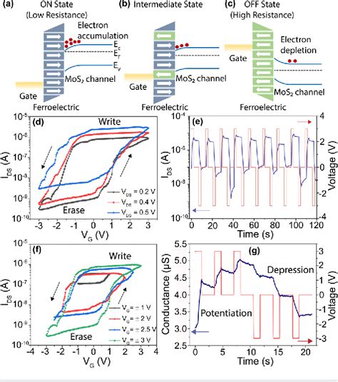 Pdf Ferroelectric Memory Field Effect Transistors Using Cvd Monolayer