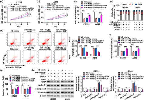 Circ Iars Depletion Inhibits The Progression Of Non Small Cell Lung