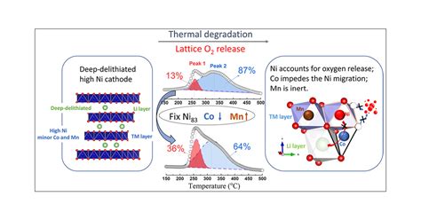 Probing The Thermal Driven Structural And Chemical Degradation Of Ni