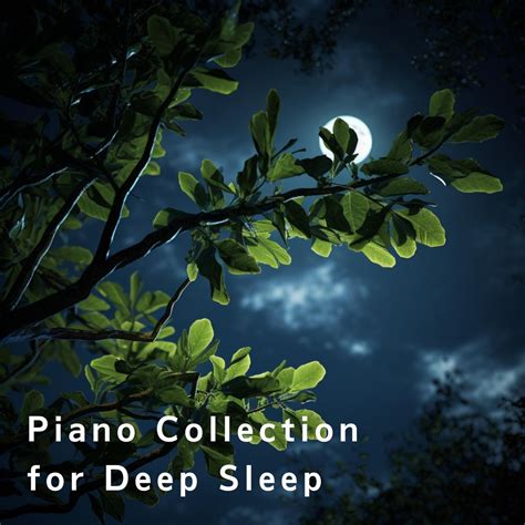 ‎Piano Collection for Deep Sleep - Relaxing BGM Projectのアルバム - Apple Music