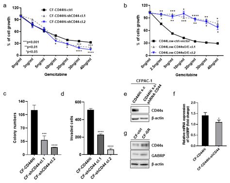 Gabrp Promotes Cd S Mediated Gemcitabine Resistance In Pancreatic