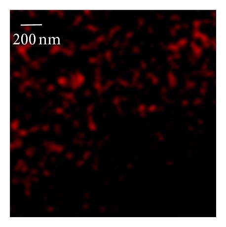 NSOM QD Based Dual Color Imaging Of CD3 And GM1 For T Cells