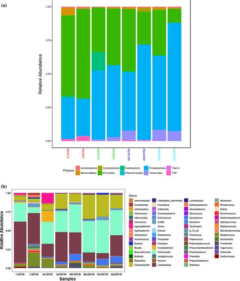 Bar Plot Showing Relative Abundance Of Bacterial Taxa A Bar Plot For