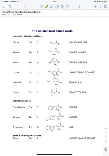 Amino Acids Flashcards Quizlet