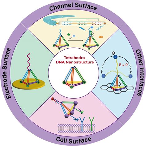 Engineering Of Interfaces With Tetrahedra Dna Nanostructures For Biosensing Applications Xuan