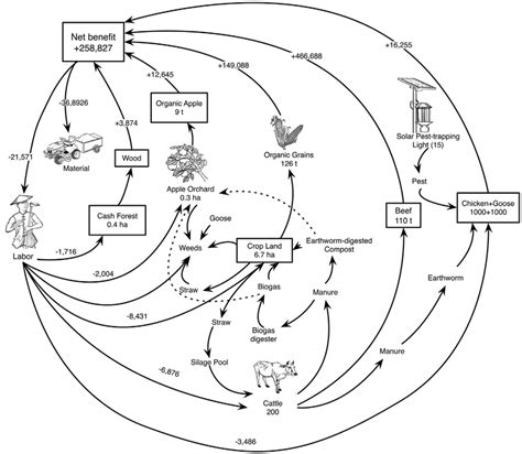 A Schematic Diagram Of Biodiversity Management Of Organic Farming