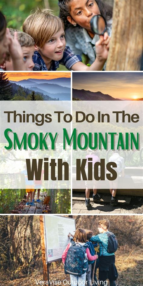 Things To Do With Kids In The Smoky Mountains Veravise Outdoor Living