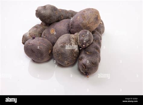 Purple Vitelotte Potatoes Isolated Over White Background Stock Photo