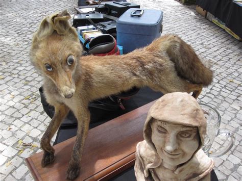 29 Hilarous Taxidermy Fails Gallery Ebaums World