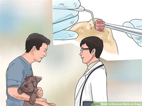 how to remove warts on dogs at home