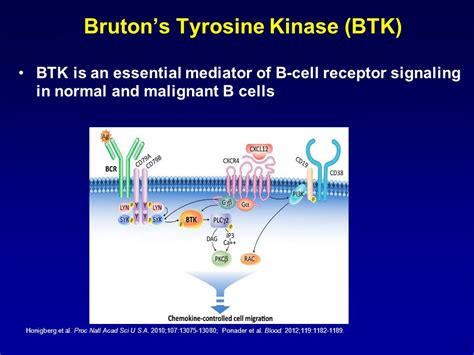 Brutons Tyrosine Kinase