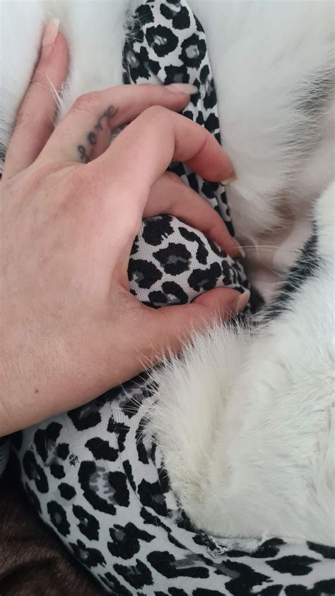 Grosse Schwellung der Naht nach Kastration? (Gesundheit, Katze, Tierarzt)