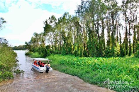 Klias Wildlife River Cruise Proboscis Monkey Fireflies Amazing